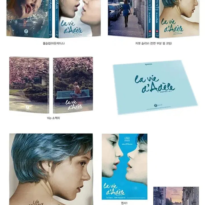 [BUNJANG] The Most Beautiful Thing, Blue Limited Edition Blu-ray / (블루레이) 가장 따뜻한 색, 블루 - 플레인아카이브 한정판