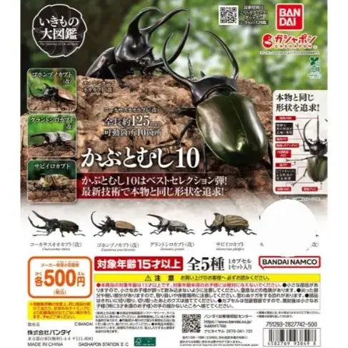 [BUNJANG] Creature Encyclopedia Rhinoceros Beetle Vol. 10 (4 Types with Bark) / 생물대도감 장수풍뎅이 10탄 4종 수피포함