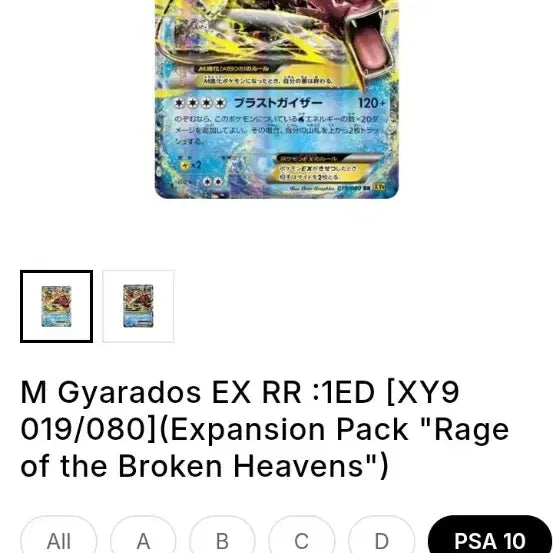[BUNJANG] Shiny Mega Gyarados XY 