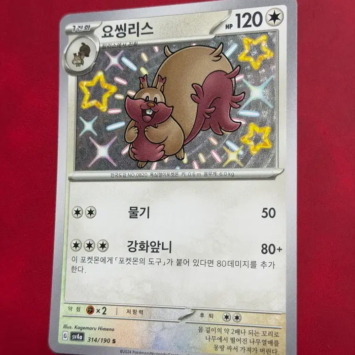 [BUNJANG] Shiny Treasure Shiny Charizard EX Yveltal Pokémon Card / 귀여운 포켓몬카드 요씽리스 S 이로치(샤이니트레져 샤트)