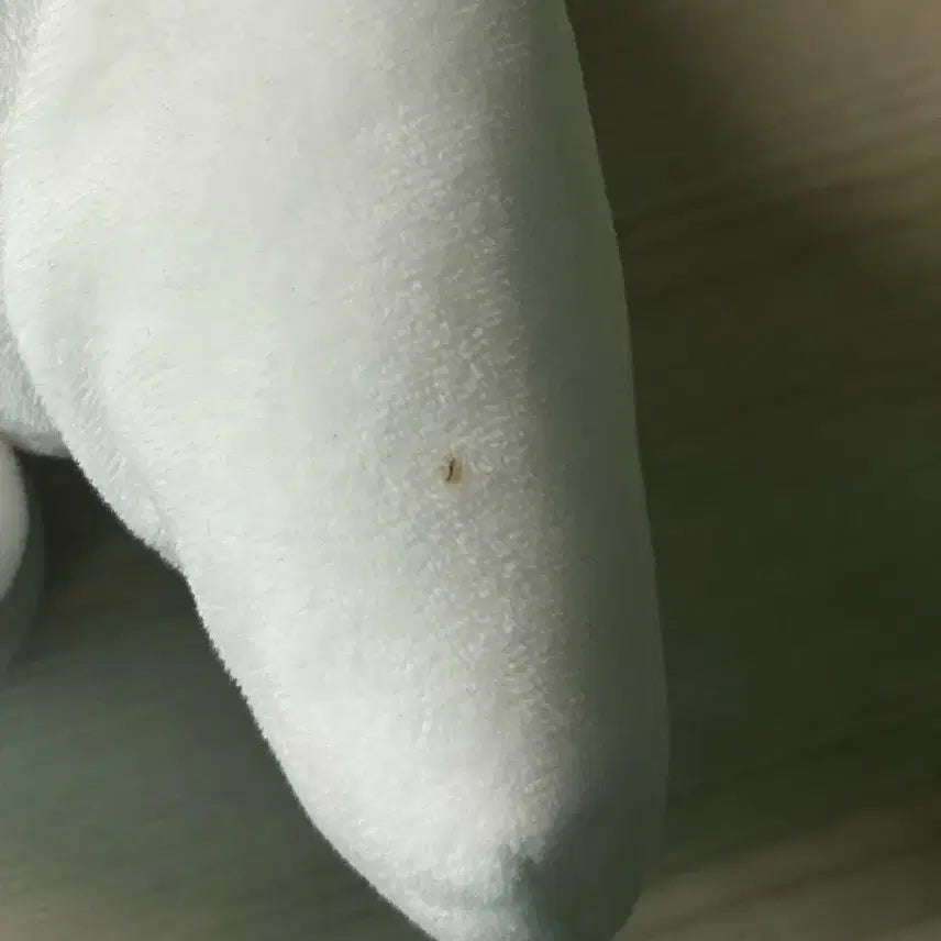 [BUNJANG] Sanrio Cinnamoroll 20cm Doll / 산리오 시나모롤 정품 20cm 인형