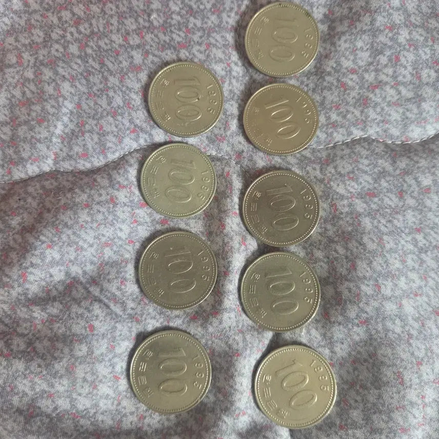 [BUNJANG] 1995 100 Won Coin Collection (9 Coins) / 100원 동전 9개 1995년
