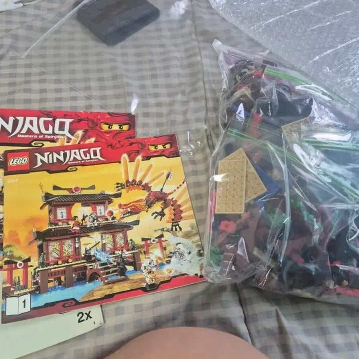 [BUNJANG] LEGO Ninjago Temple of Fire (2507) &amp; Earth Dragon (2509) Playset / 레고 닌자고 2507 불의신전 + 2509 어스 드래곤 (마지막 가격)