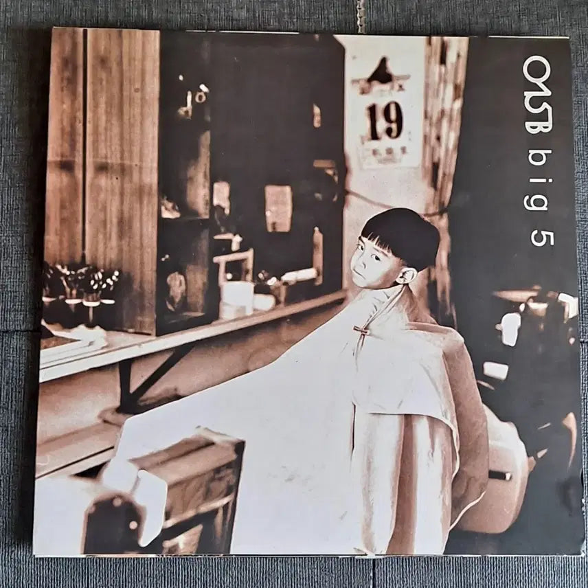 [BUNJANG] 015B 5th Album Early Press LP / 공일오비 5집 초반 lp