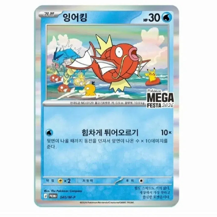 [BUNJANG] Pokemon Magikarp Promo Card (1st Edition) / 포켓몬 잉어킹 프로모 카드 1차수