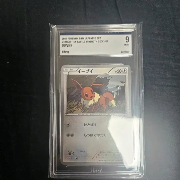 [BUNJANG] Pokemon BW Eevee Japanese Card / 포켓몬카드 일판 bw 이브이 brg9