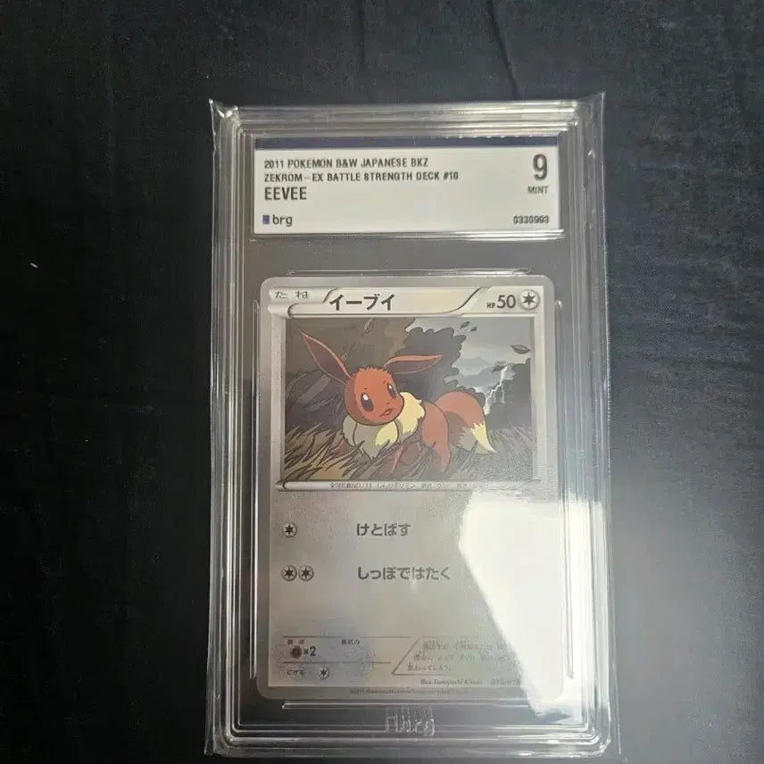 [BUNJANG] Pokemon BW Eevee Japanese Card / 포켓몬카드 일판 bw 이브이 brg9