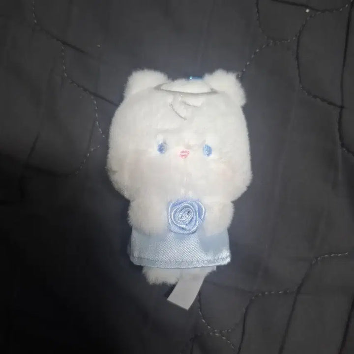 [BUNJANG] ZB1 Sung Hanbin Binini Angel Mini Plush / 제베원 제로베이스원 성한빈 비니니 엔젤 소형 양도합니다