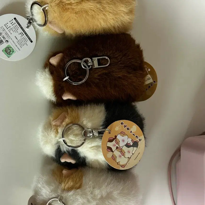 [BUNJANG] Morumo Tto Sang 12cm Bundle Set / 모루못토상 12cm 일괄 판매 (택 0)