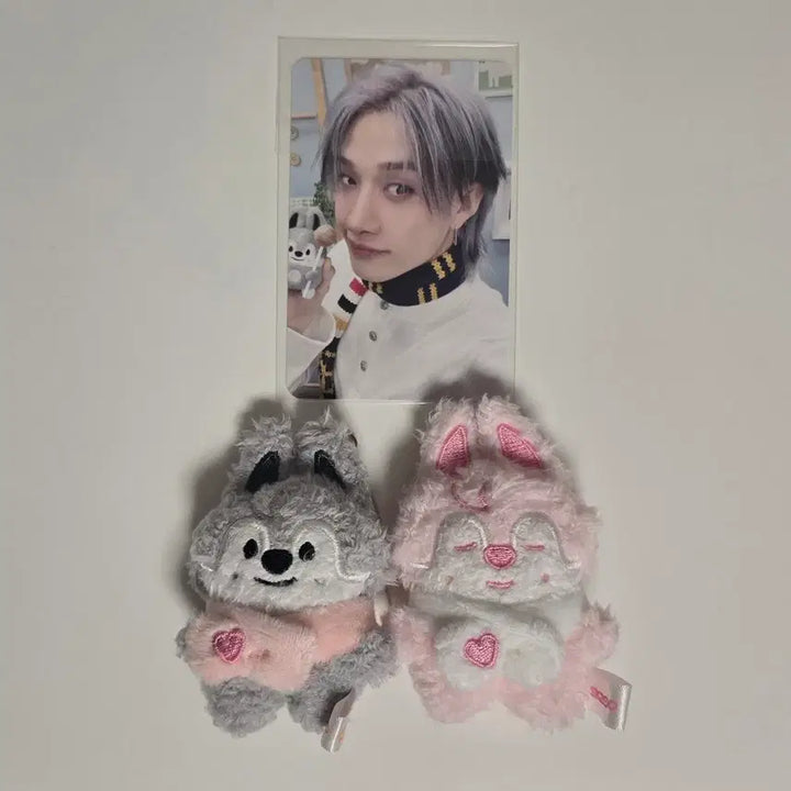 [BUNJANG] Stray Kids Bang Chan Micro Sleeping Wolfchan Photocard / 스트레이키즈 스키즈 팬미팅 마이크로 슬리핑 울프찬 방찬 스키주
