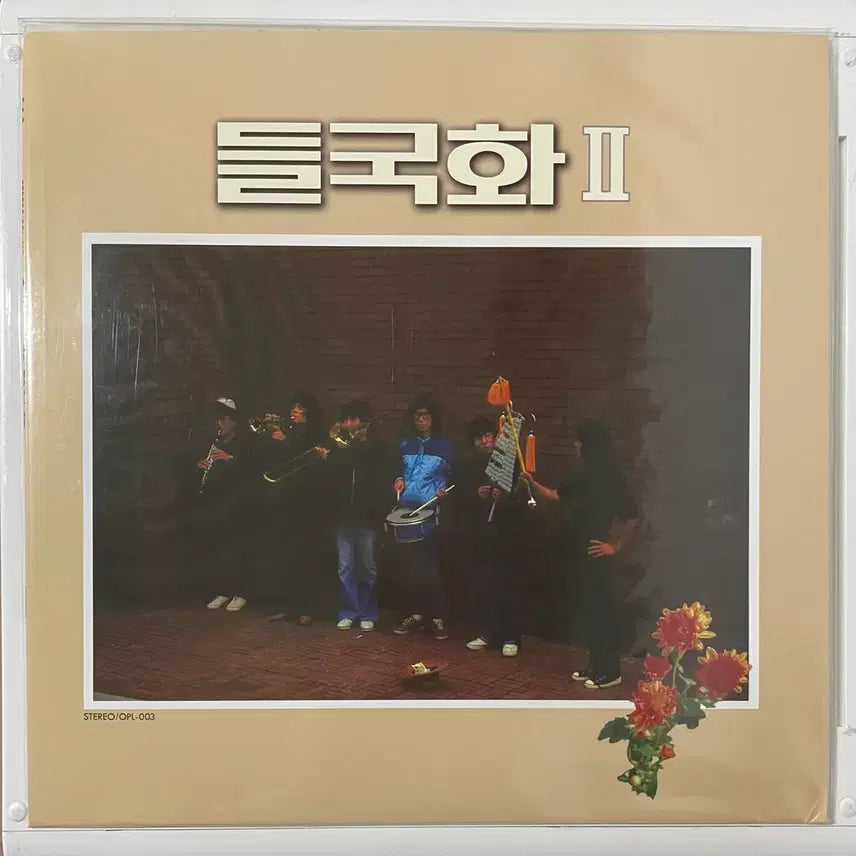 [BUNJANG] Dullkukhwa LP / 들국화 LP