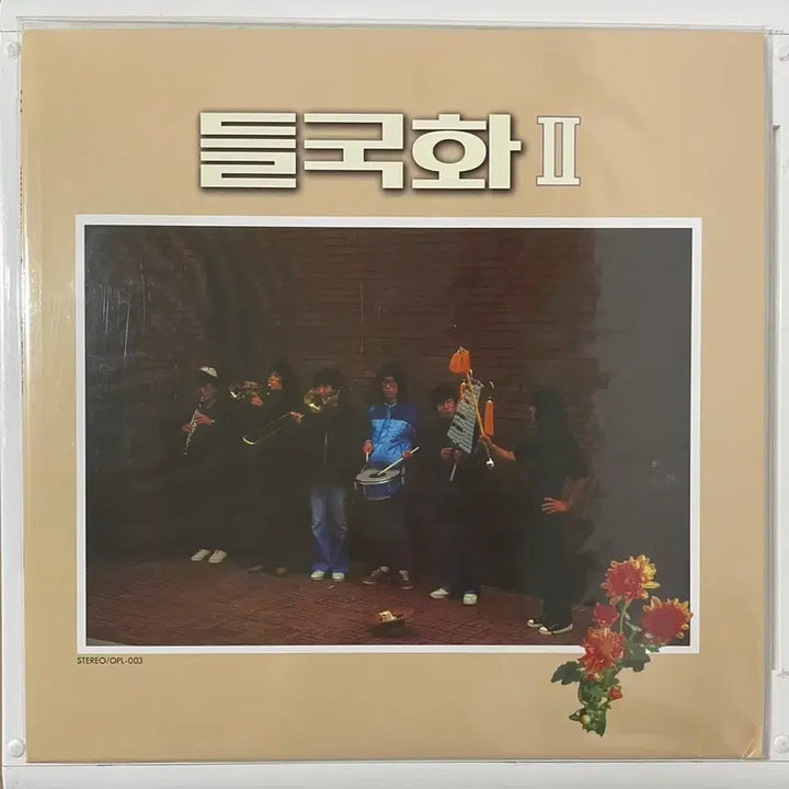 [BUNJANG] Dullkukhwa LP / 이상은 &amp; 들국화 LP