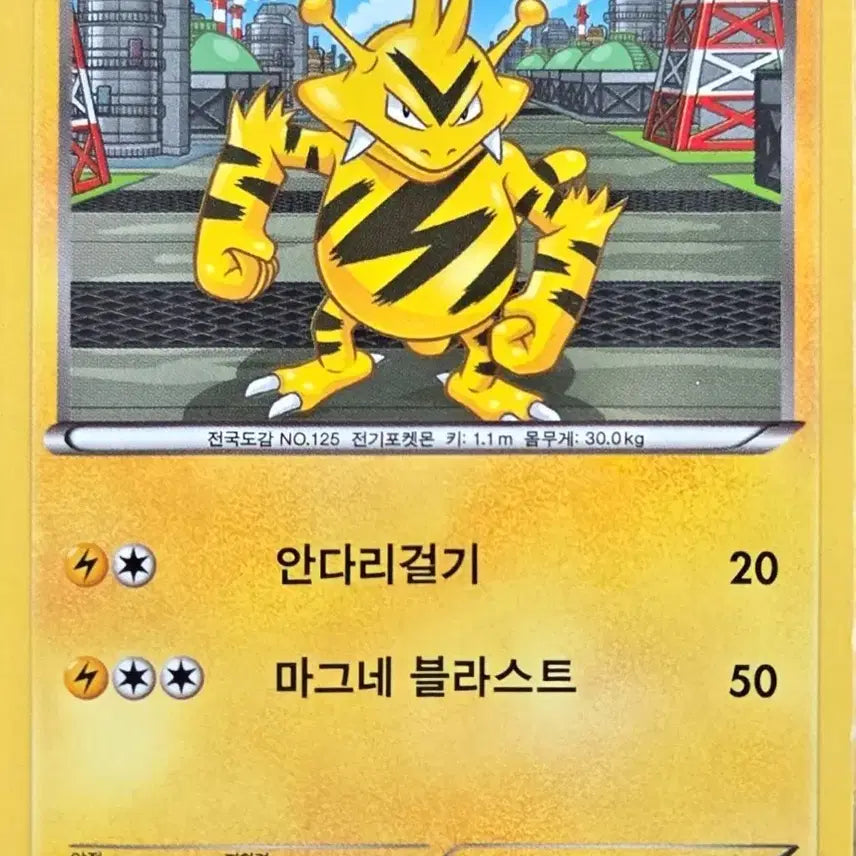 [BUNJANG] Pokemon Card Erebus BW / 포켓몬 카드 에레브 BW