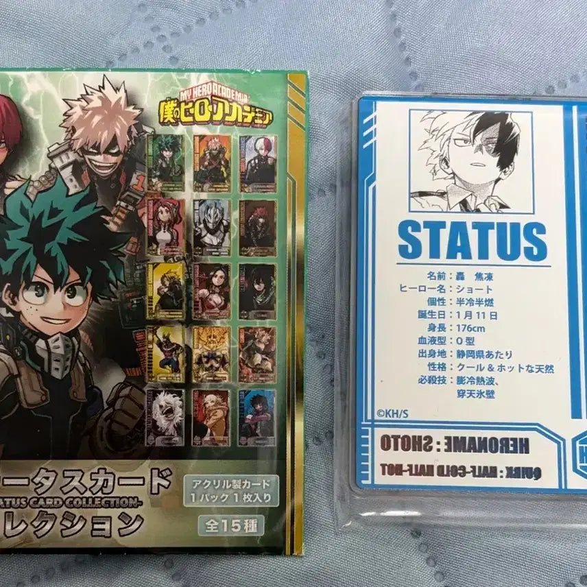 [BUNJANG] Todoroki Shoto Status Card / 나히아 토도로키 스테이터스