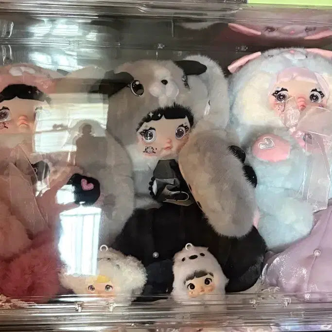 [BUNJANG] Nomi Mushroom Series Full Set (6 Types) / 노미버섯 시리즈6종 일괄