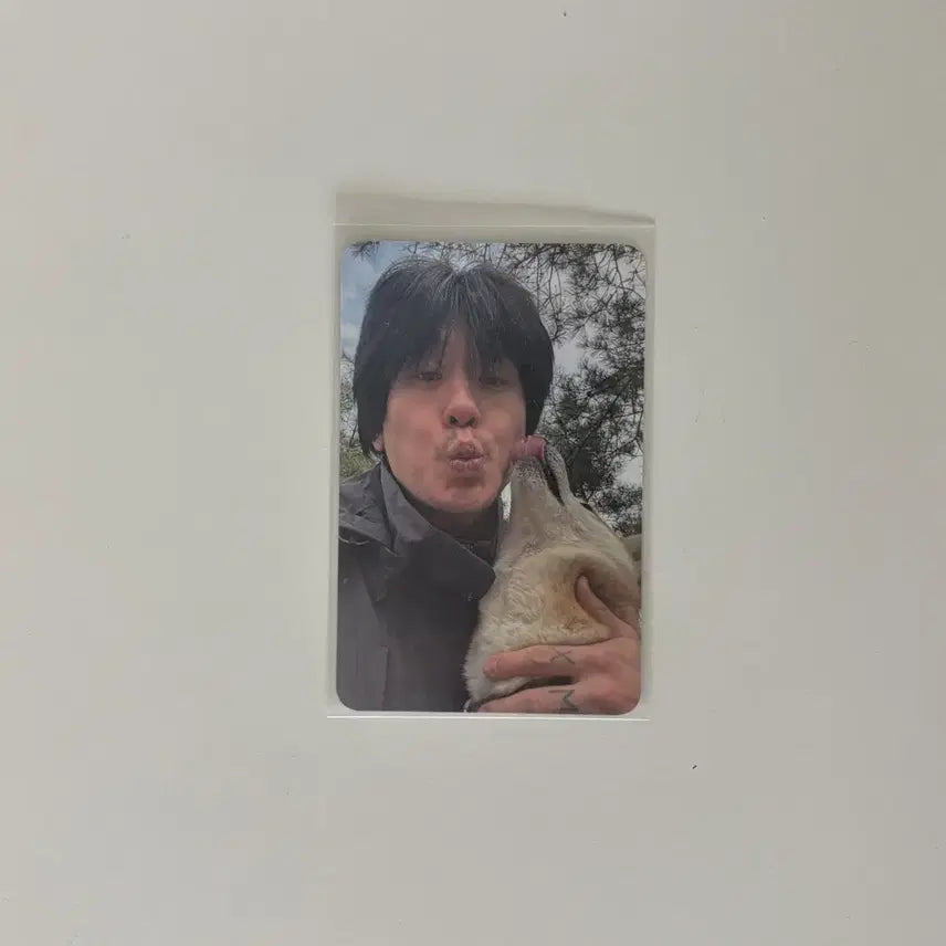 [BUNJANG] Balming Tiger Moving Forward Wonjin Photocard POB / 바밍타이거 무빙포워드 특전 포카 원진