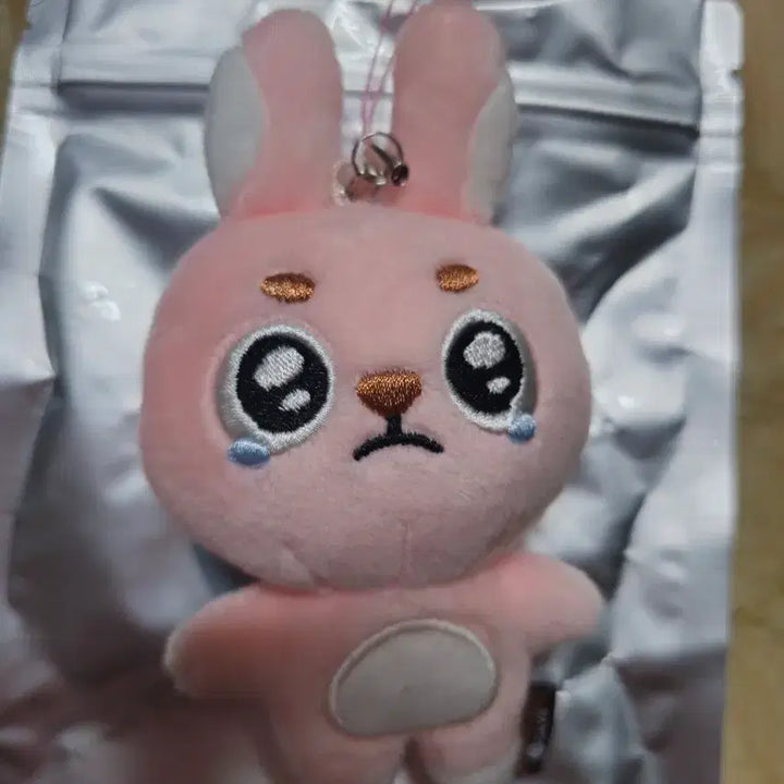 [BUNJANG] Day6 Wonpil Unfiltered Solo Concert MD Mini Plush Keyring Ppuengpil Pilkk / (반택포/수수료포함) 데이식스 원필 언필터드 솔콘 엠디 키링 뿌엥필 필끼