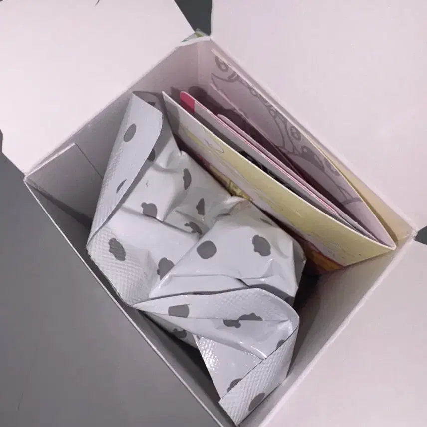 [BUNJANG] RIIZE Shotaro Rizco Figure Version Album Unsealed / 라이즈 쇼타로 리즈코 피규어버전 앨범 확인용개봉상품