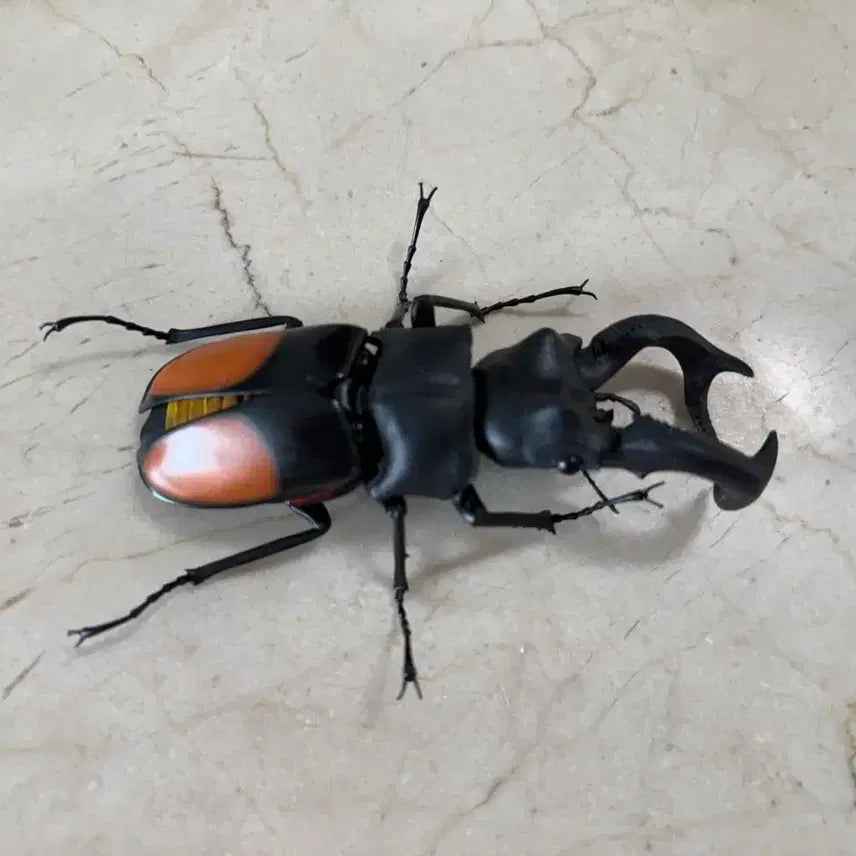[BUNJANG] Bandai Stag Beetle Model / 반다이: 패리큰턱 사슴벌레