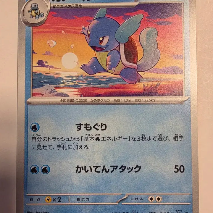 [BUNJANG] Pokemon Card Japanese Turtwig / 포켓몬카드 일판 어니부기