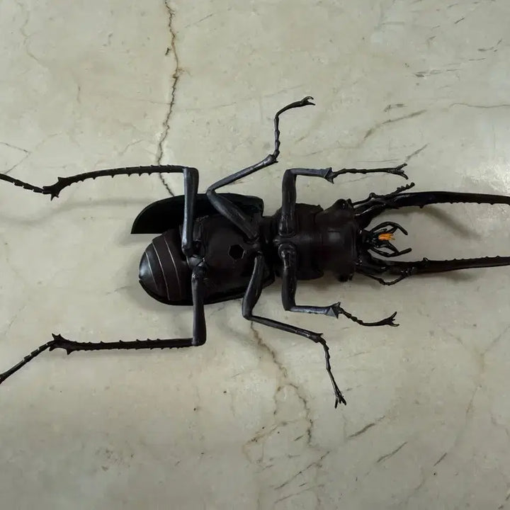 [BUNJANG] Bandai Great Living Creatures Encyclopedia: Stag Beetle / 반다이 대생물도감: 사슴벌레