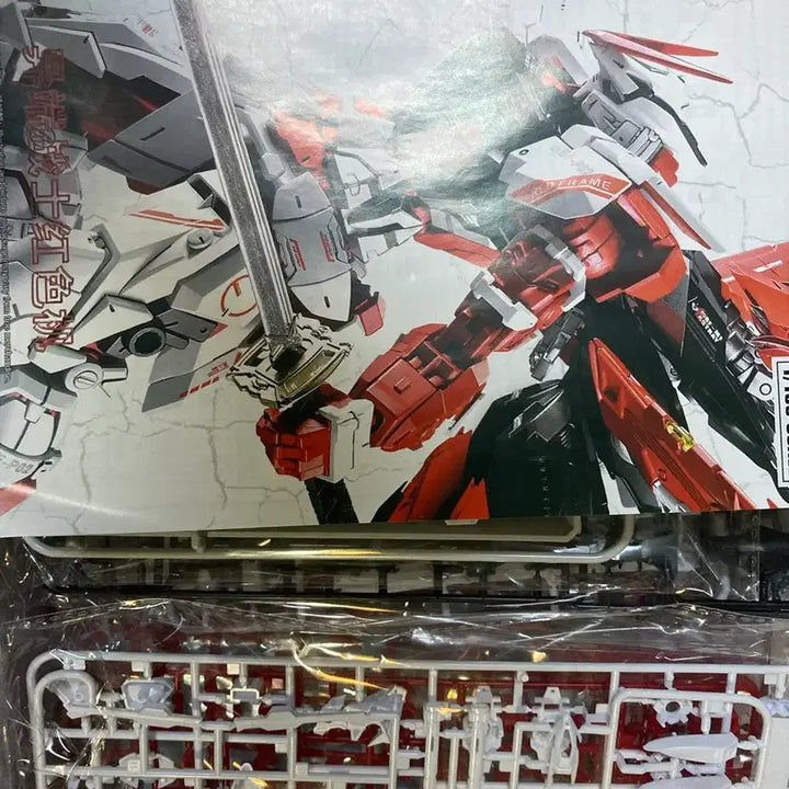 [BUNJANG] Daban MG 1/100 Astray Gundam 8806 / 급처 - MG 1/100 다반 8806 아스트레이 건담
