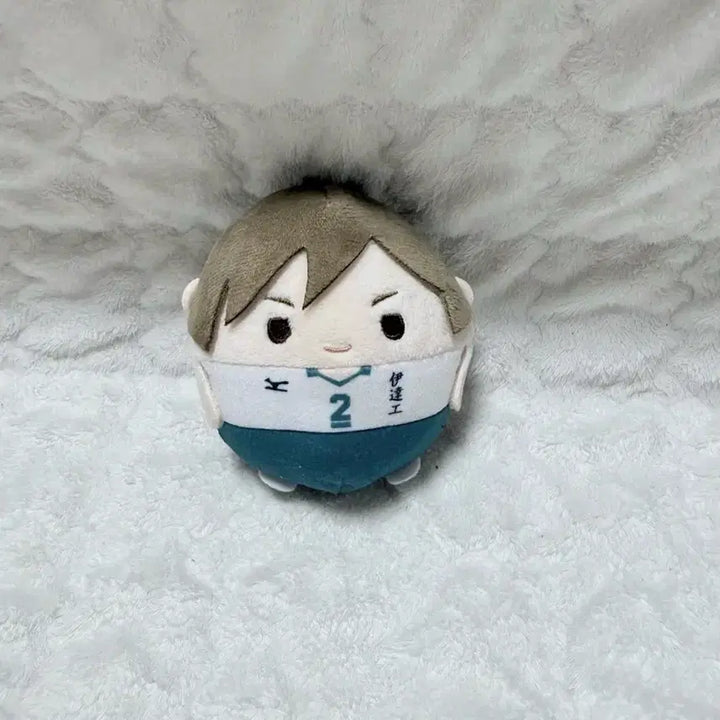 [BUNJANG] Haikyuu!! Kenji Futakuchi Fuwa / 하이큐 후타쿠치 후와