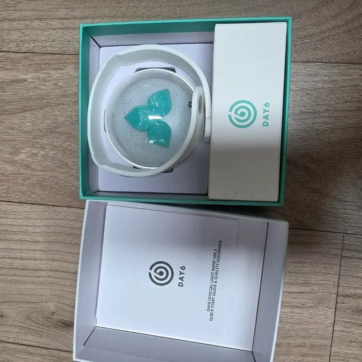 [BUNJANG] Day6 Lightstick &amp; Young K Version Strap / 데이식스 응원봉