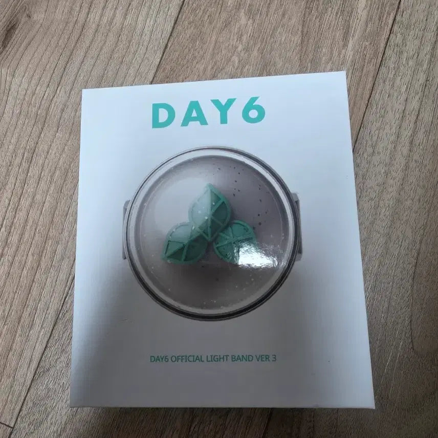 [BUNJANG] Day6 Lightstick &amp; Young K Version Strap / 데이식스 응원봉