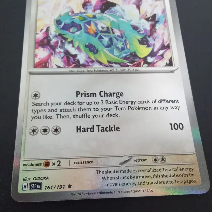 [BUNJANG] Pokemon Card Terrapagos 161/191 North American Edition / 포켓몬 카드 테라파고스 161/191 북미판