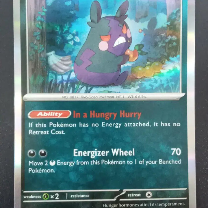 [BUNJANG] Pokemon Card Morpeko 121/182 (North American Edition) / 북미판 포켓몬 카드 모르페코 121/182