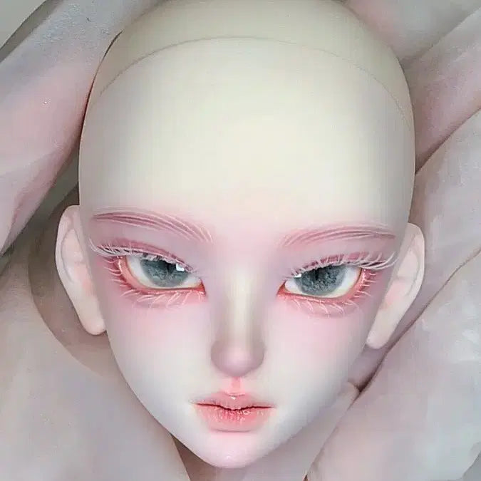 [BUNJANG] MSD Ball-Jointed Doll Head with Eyes and Certificate / 카드 + 헤드 + 안구 구관 msd 구체관절인형 헤드