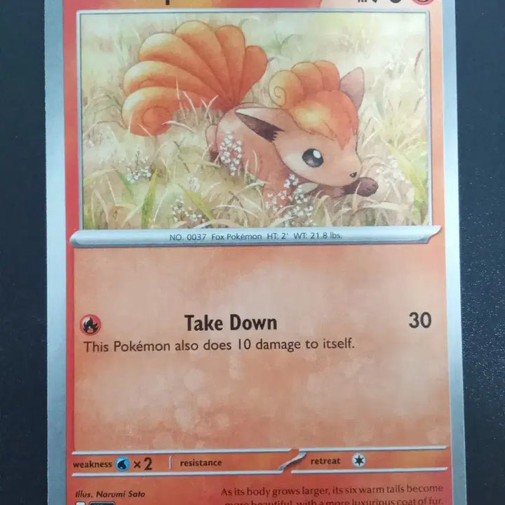 [BUNJANG] Pokemon Card Vulpix 016/191 (North American Edition) / 북미판 포켓몬 카드 식스테일 016/191
