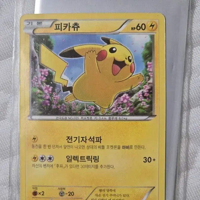 [BUNJANG] Pikachu 2016 Promotional Card / 피카츄 2016 프로모 카드 [판매&amp;교신]