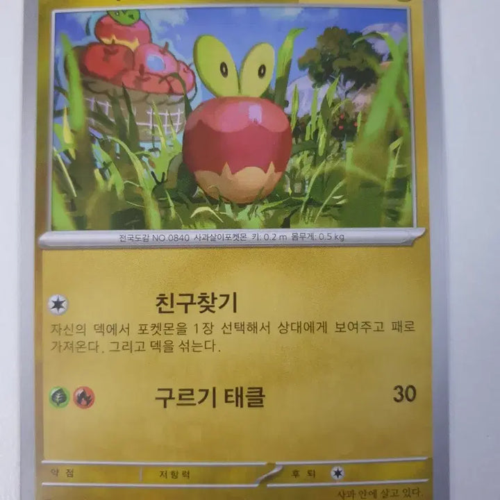 [BUNJANG] Greedent Pokemon Card / 과사삭벌레 포켓몬카드