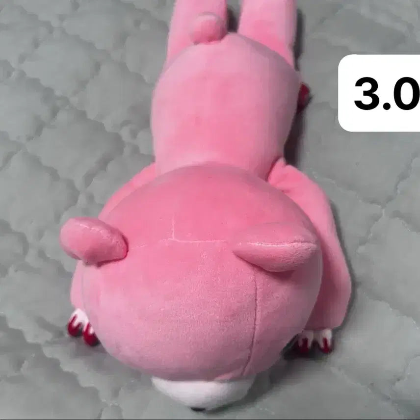 [BUNJANG] Gloomy Bear Plush Doll / 글루미베어 누이구루미 인형 누이 양도 판매