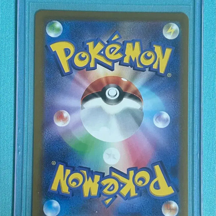 [BUNJANG] Pokemon Card Korean Exclusive Eevee &amp; Halloween Umbreon / 포켓몬카드 일판 찬란한 이브이, 할로윈 블래키