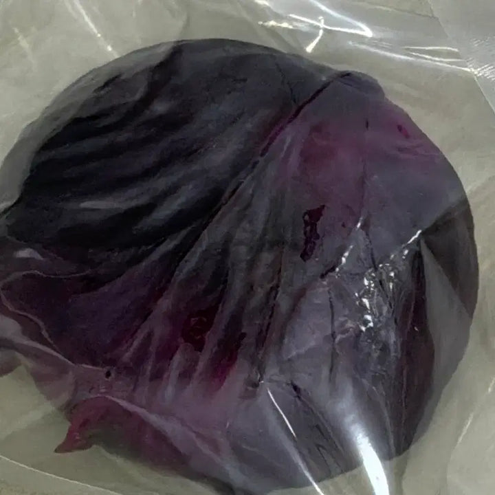 [BUNJANG] Red Cabbage Plush Toy / 적양배추 슬랑이 크런치말랑이