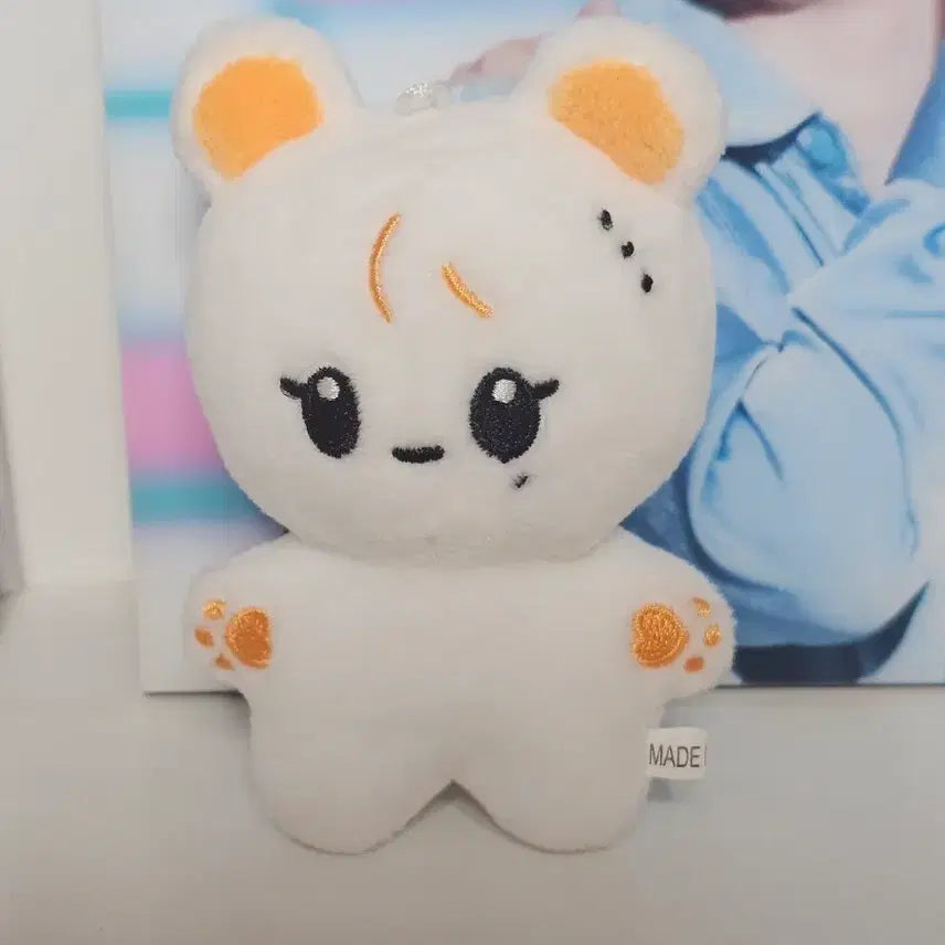 [BUNJANG] SEVENTEEN Seungkwan Boo Bear Ggul Bear Doll / 세븐틴 승관 인형 부베어 귤베어 양도