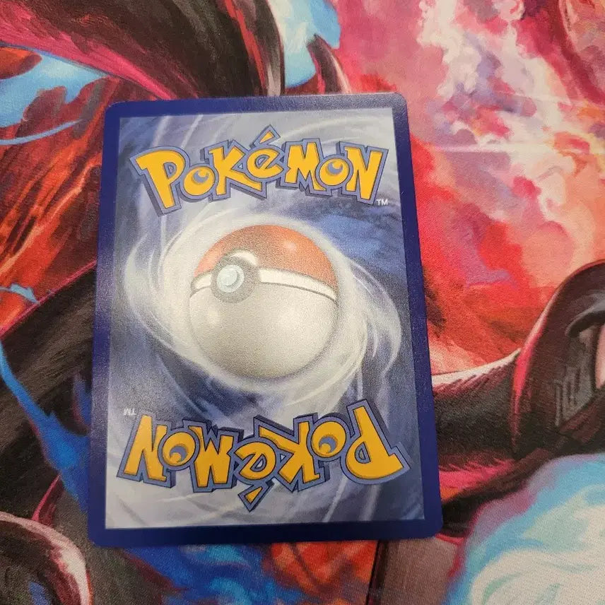 [BUNJANG] Pokemon Card North America Raboot 037/217 / 포켓몬 카드 북미 염버니 (Raboot) 037/217