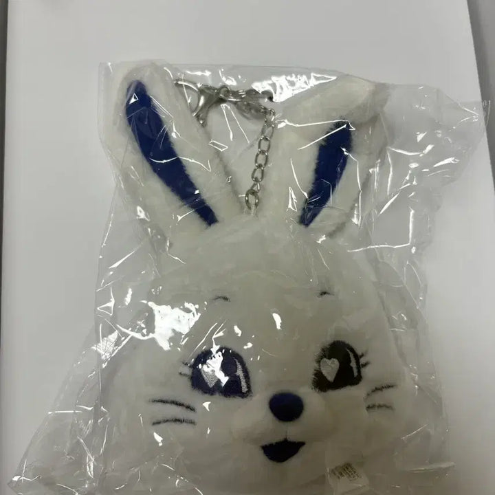 [BUNJANG] NewJeans Bunnies 2023 Fanclub Kit Full Set / 뉴진스 버니즈 2023 팬클럽 키트 풀박