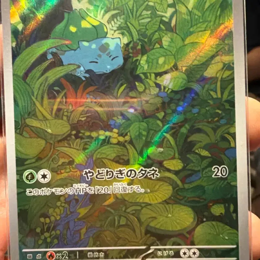 [BUNJANG] Bulbasaur AR Japanese Edition / 이상해씨 ar (일판)