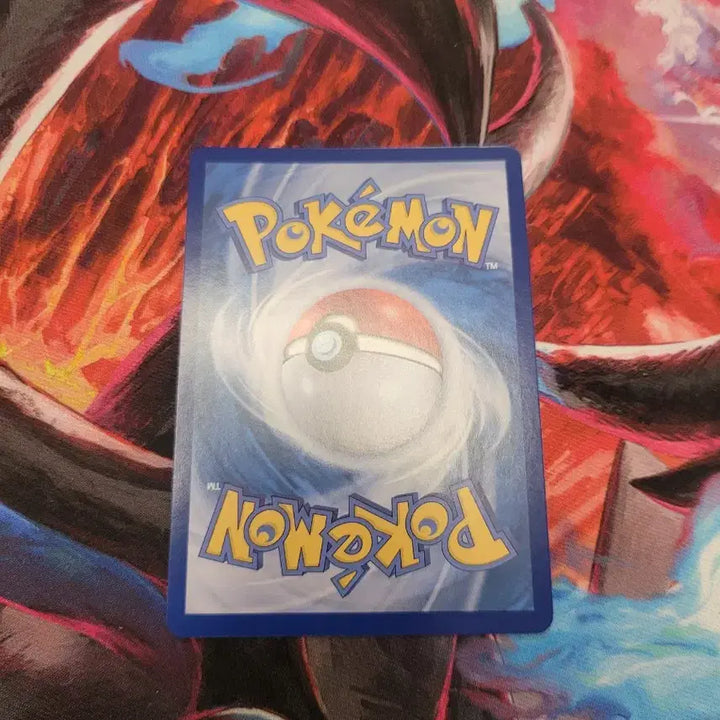 [BUNJANG] Pokemon TCG Mega Charizard X EX Card / 포켓몬 카드 메가 리자몽 X EX 카드 m2