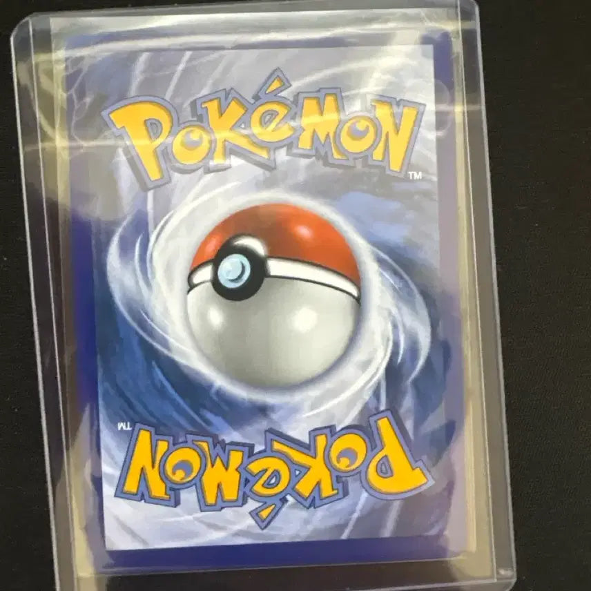 [BUNJANG] Canary SR North American Edition / 카나리 sr 북미