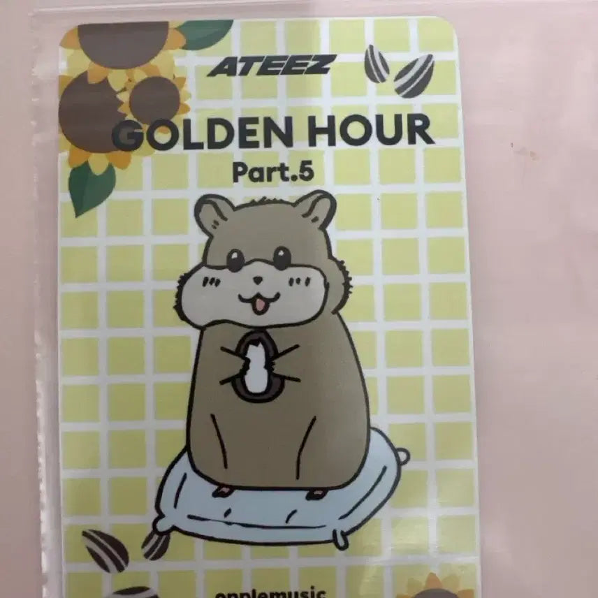 [BUNJANG] ATEEZ Jongho Apple Music POB Photocard (Golden Hour: Part.5) / 에이티즈 종호 앺뮤 특전