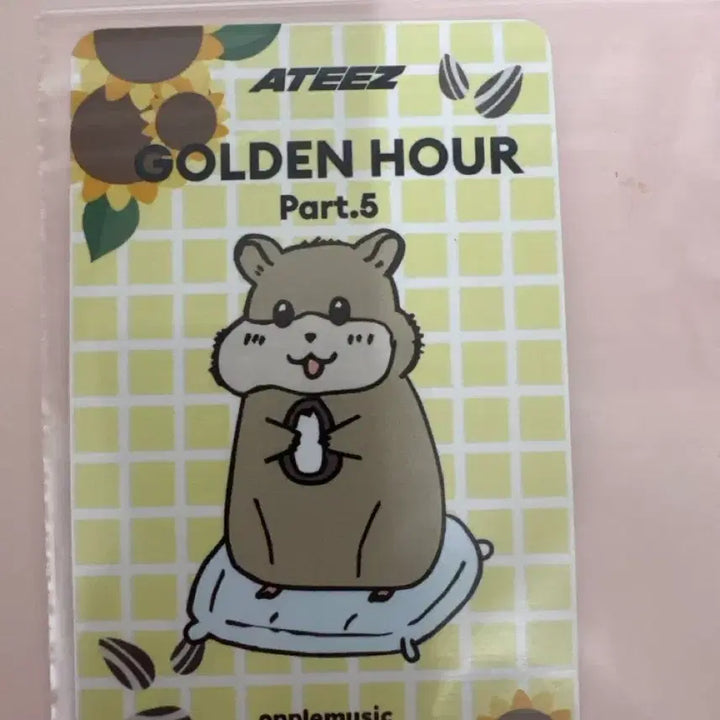 [BUNJANG] ATEEZ Jongho Apple Music POB Photocard (Golden Hour: Part.5) / 에이티즈 종호 앺뮤 특전
