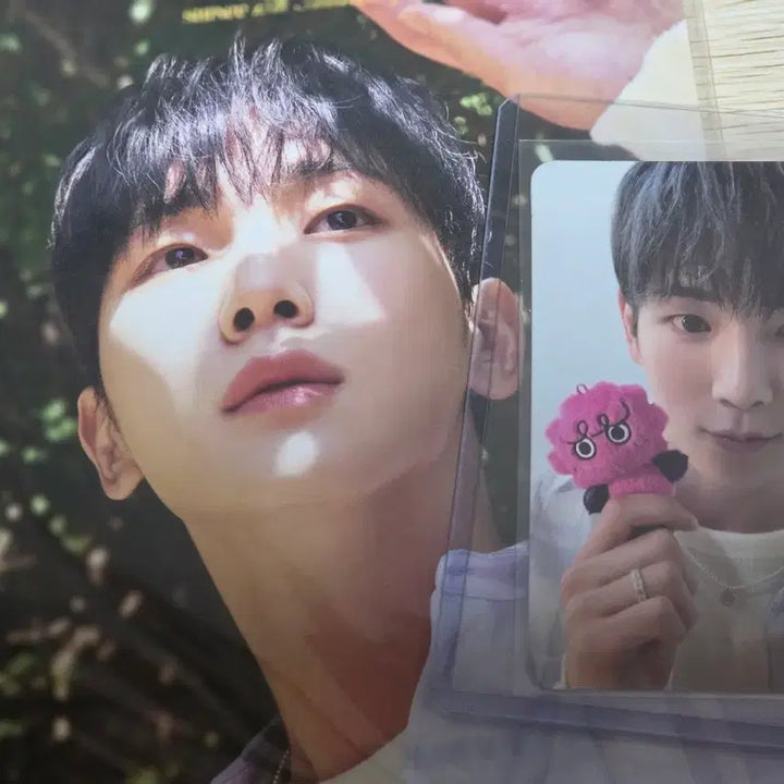 [BUNJANG] SHINee 15th Anniversary THE MOMENT OF SHINE Key Version Photocard and Postcard Book Bundle Set / 샤이니 15주년 THE MOMENT OF SHINE 키ver