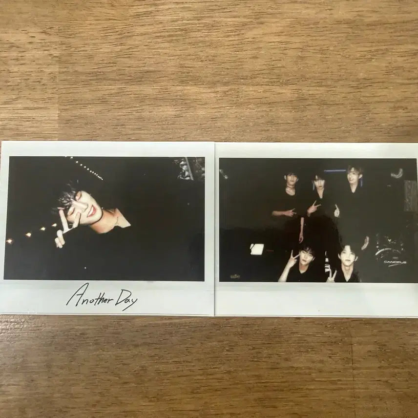 [BUNJANG] DAY6 Sunrise Young K Photocard / 데이식스 선라이즈 영케이 짭폴라