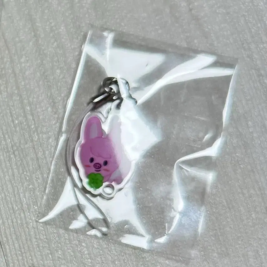 [BUNJANG] Stray Kids Changbin Dwaekki Keyring Sealed / 스키즈 팬미팅 기프트 창빈 돼끼 키링 미개봉 양도