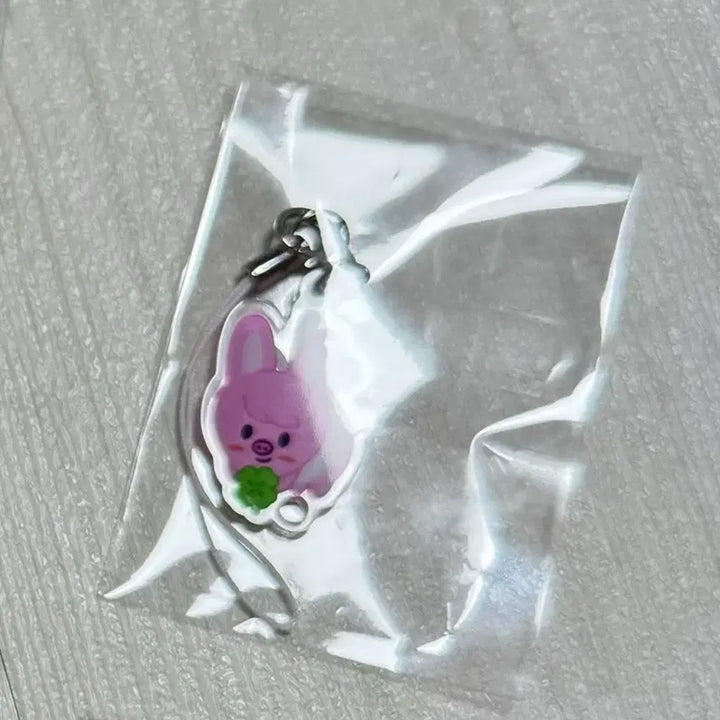 [BUNJANG] Stray Kids Changbin Dwaekki Keyring Sealed / 스키즈 팬미팅 기프트 창빈 돼끼 키링 미개봉 양도